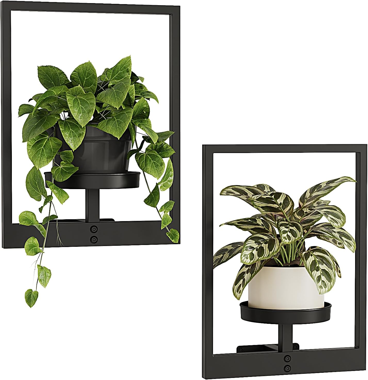 Bamworld Hanging Planters for Indoor Plants Wall Decor Living Room Plant Stand Indoor Wall Planters Plant Hanger Window Plant Shelves 3-Packs with Lights