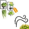 iDavosic.ly Wall Plant Holder Set of 4, Indoor Floating Display Stand, 11.8 Inch Heavy Duty Hooks Outdoor Metal Picture Frame, Garden Porch Patio Decor, Space Saving (Pots/Chains/Plants Not Included)