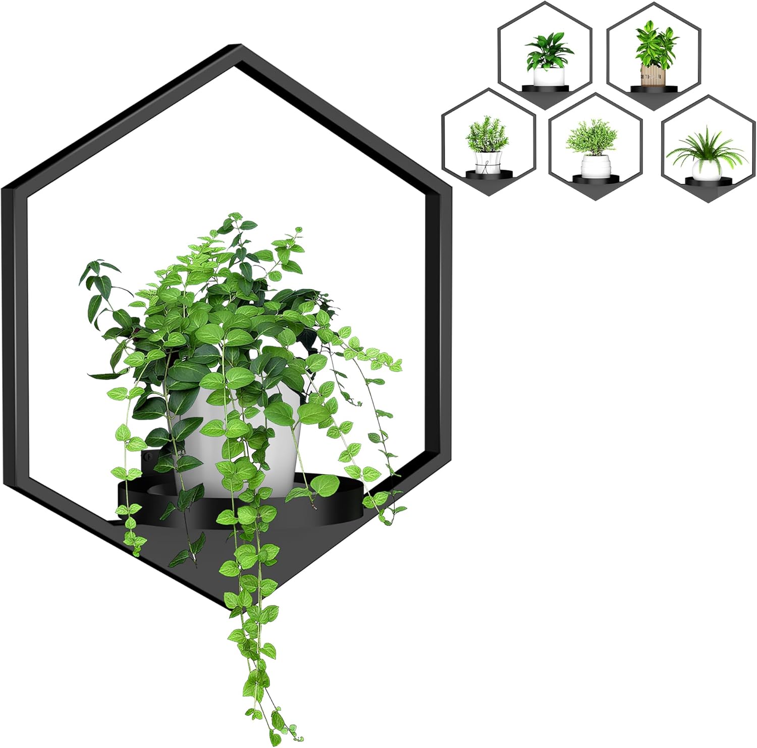 Wall Planters for Indoor Plants 7 Pack, Plant Frames Wall Decor Living Room Plant Stand Hanging Wall Plants Holder to Hold Large Pots Wall Plant Hanger Window Plant Shelves for Outdoor Entryway