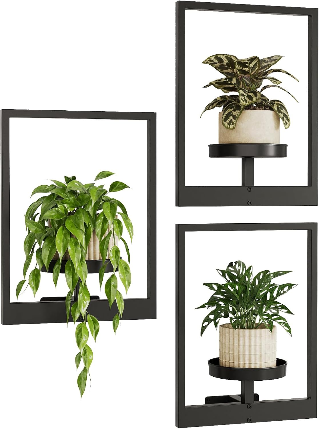 Bamworld Hanging Planters for Indoor Plants Wall Decor Living Room Plant Stand Indoor Wall Planters Plant Hanger Window Plant Shelves 3-Packs with Lights