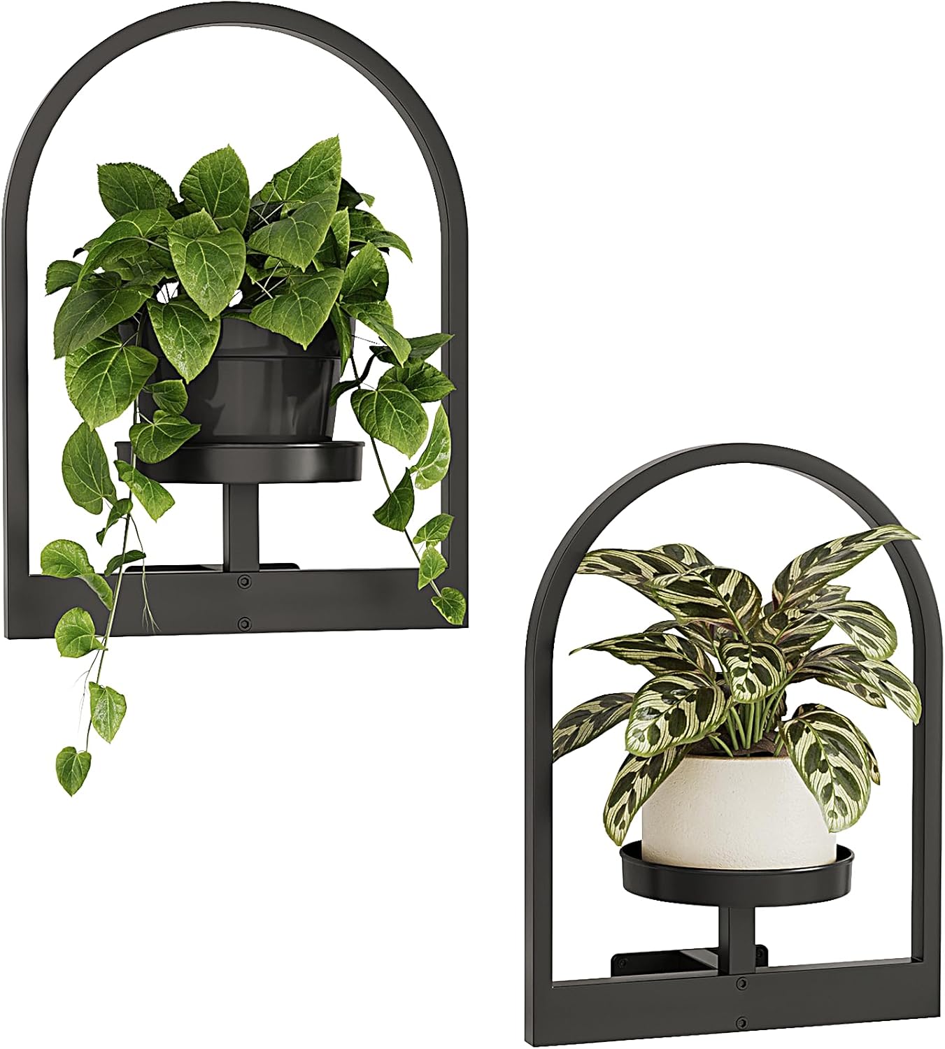 Bamworld Hanging Planters for Indoor Plants Wall Decor Living Room Plant Stand Indoor Wall Planters Plant Hanger Window Plant Shelves 3-Packs with Lights