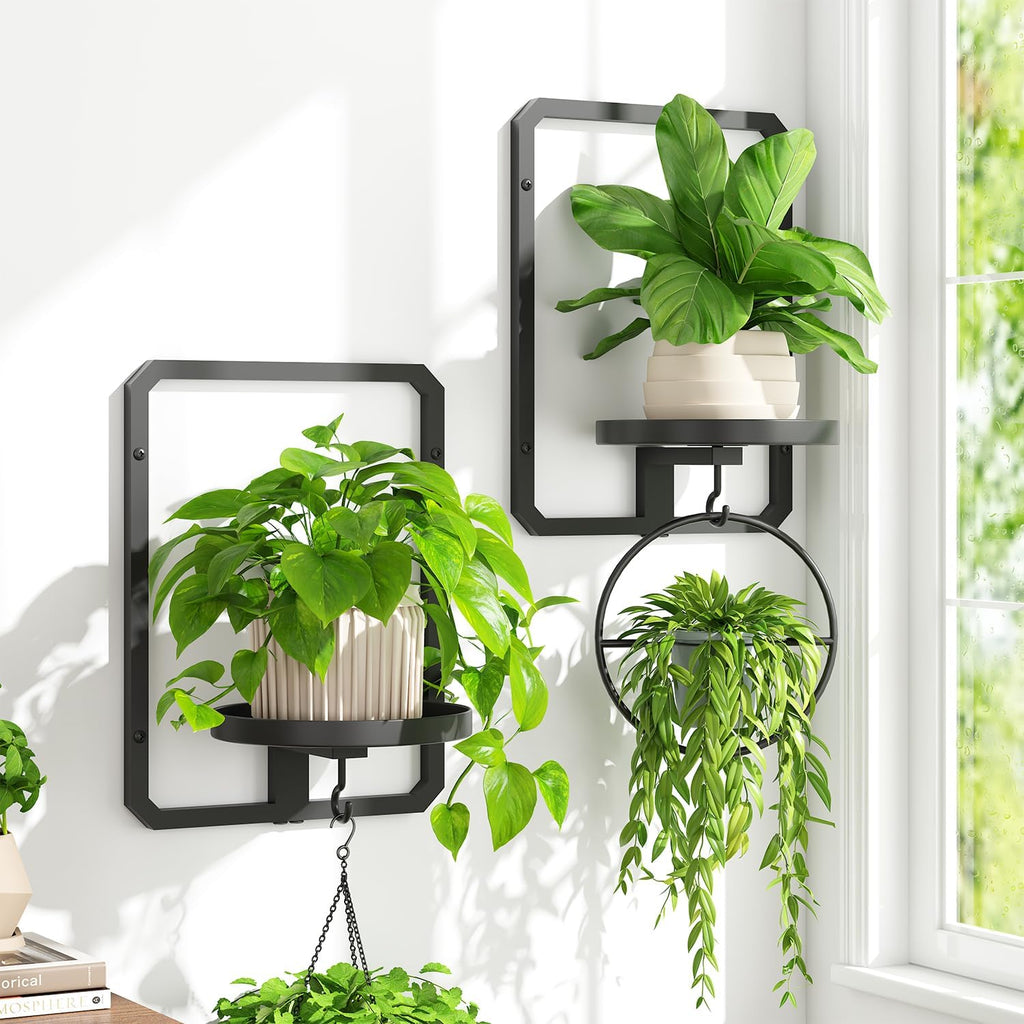 iDavosic.ly Wall Plant Holder Set of 4, Indoor Floating Display Stand, 11.8 Inch Heavy Duty Hooks Outdoor Metal Picture Frame, Garden Porch Patio Decor, Space Saving (Pots/Chains/Plants Not Included)