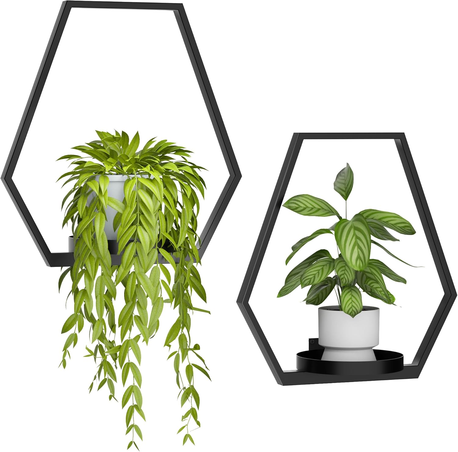 Wall Planters for Indoor Plants 7 Pack, Plant Frames Wall Decor Living Room Plant Stand Hanging Wall Plants Holder to Hold Large Pots Wall Plant Hanger Window Plant Shelves for Outdoor Entryway