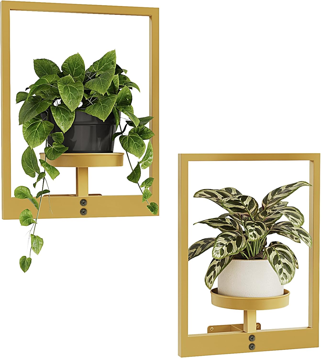 Bamworld Hanging Planters for Indoor Plants Wall Decor Living Room Plant Stand Indoor Wall Planters Plant Hanger Window Plant Shelves 3-Packs with Lights