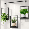 DEMEGA Wall Planters for Indoor Plants Wall Plant Holder Frame Plant Wall Hanger Window Plant Hanger for Livingroom Entryway (2)