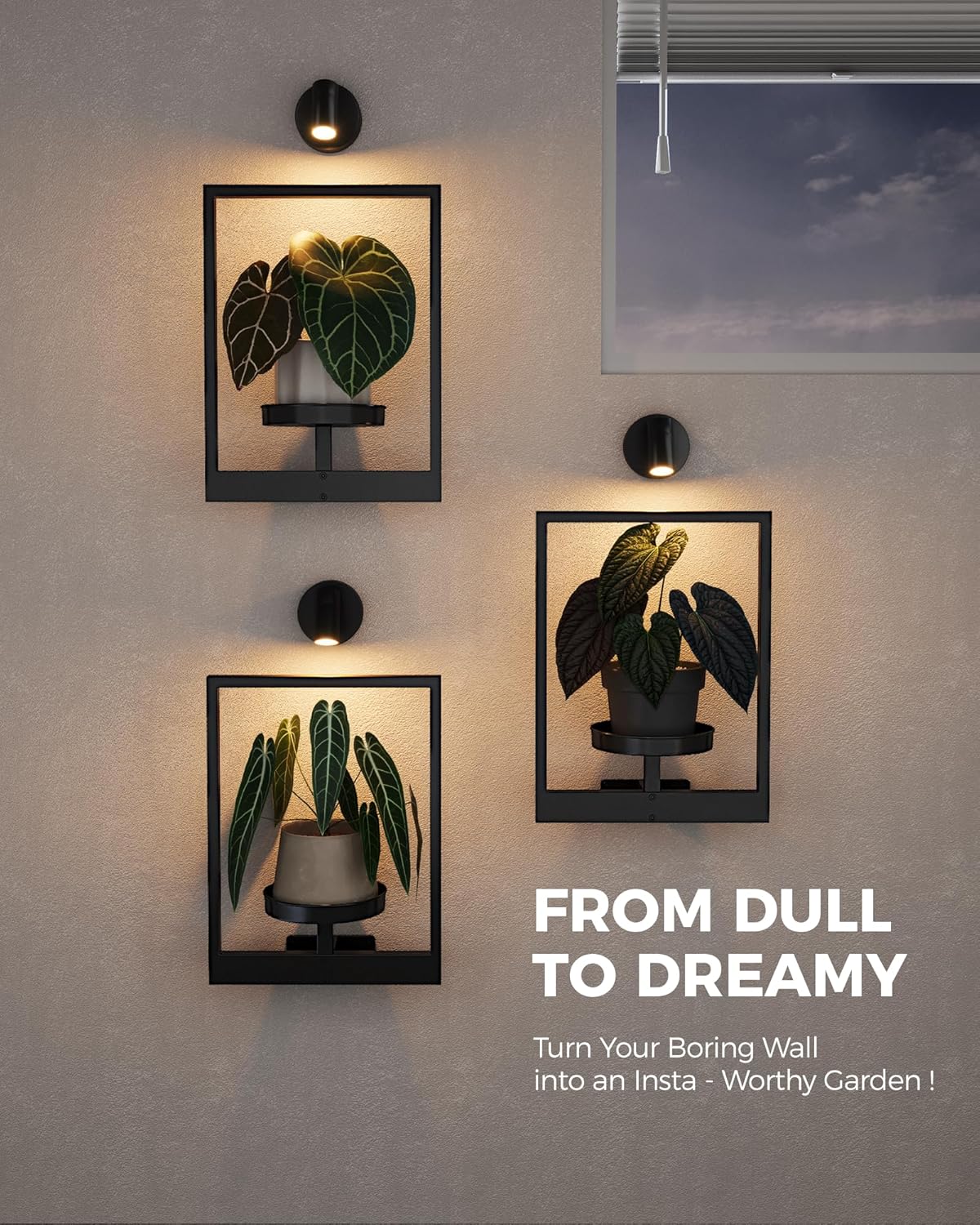 Bamworld Hanging Planters for Indoor Plants Wall Decor Living Room Plant Stand Indoor Wall Planters Plant Hanger Window Plant Shelves 3-Packs with Lights